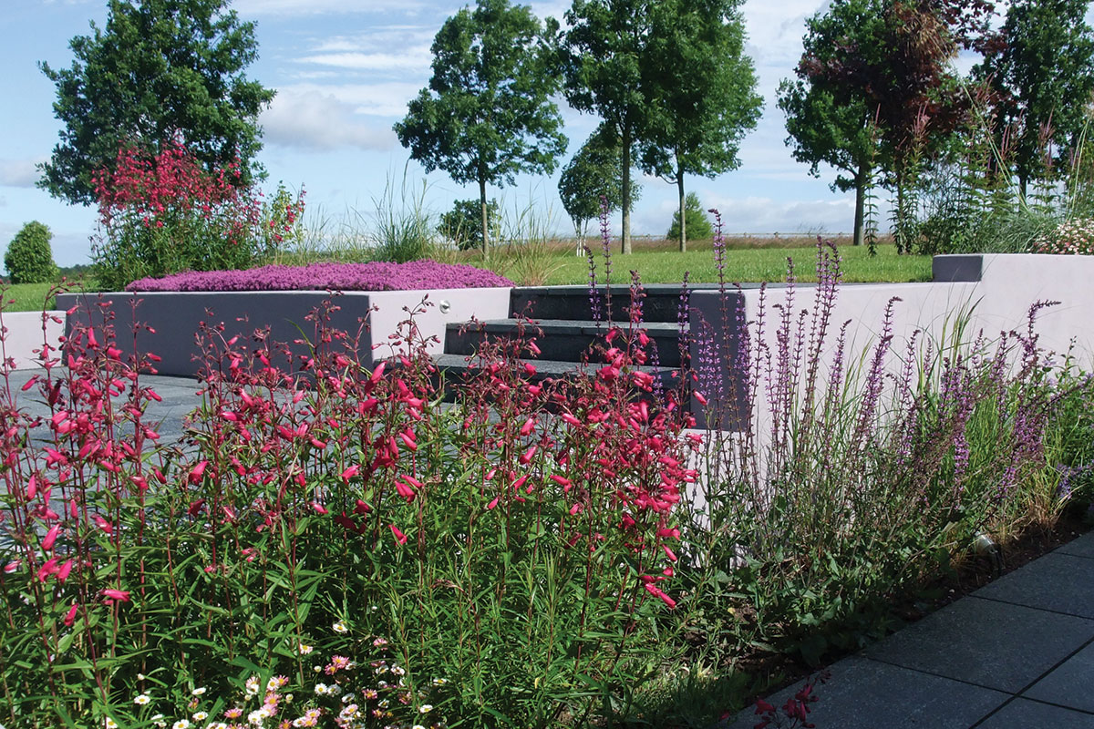 Specialists in Garden Design